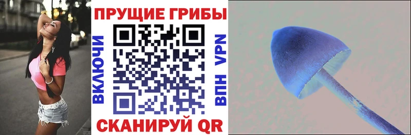 Галлюциногенные грибы мицелий  Купить закладки  Калининск 